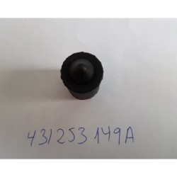 431253149A
