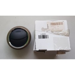 6P0819110LZG
