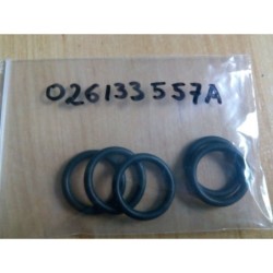 026133557A
