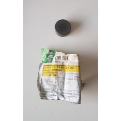 ERR561