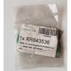 XR843536
