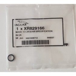 XR829166