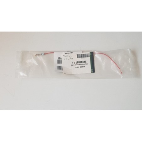LNG3956AA
