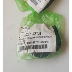 C2P12731
