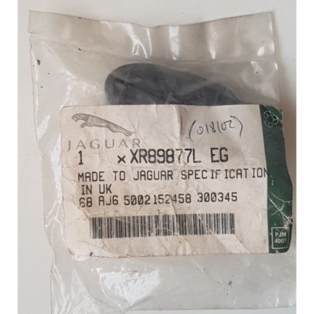 XR89877LEG